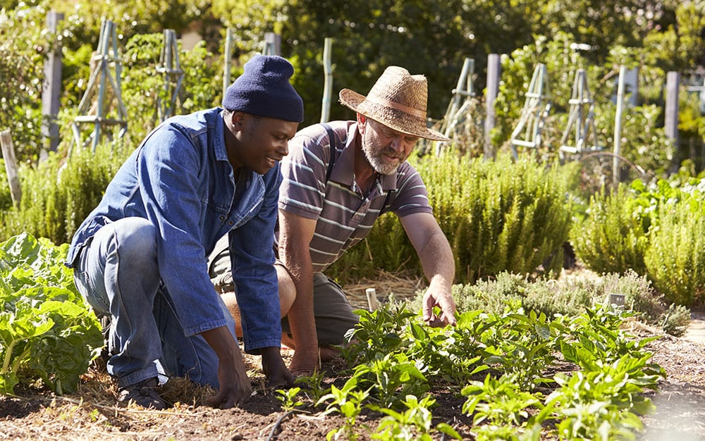 Garden together for Mental Health