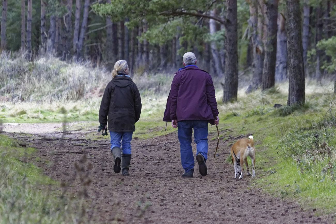 Free couple walking their dog