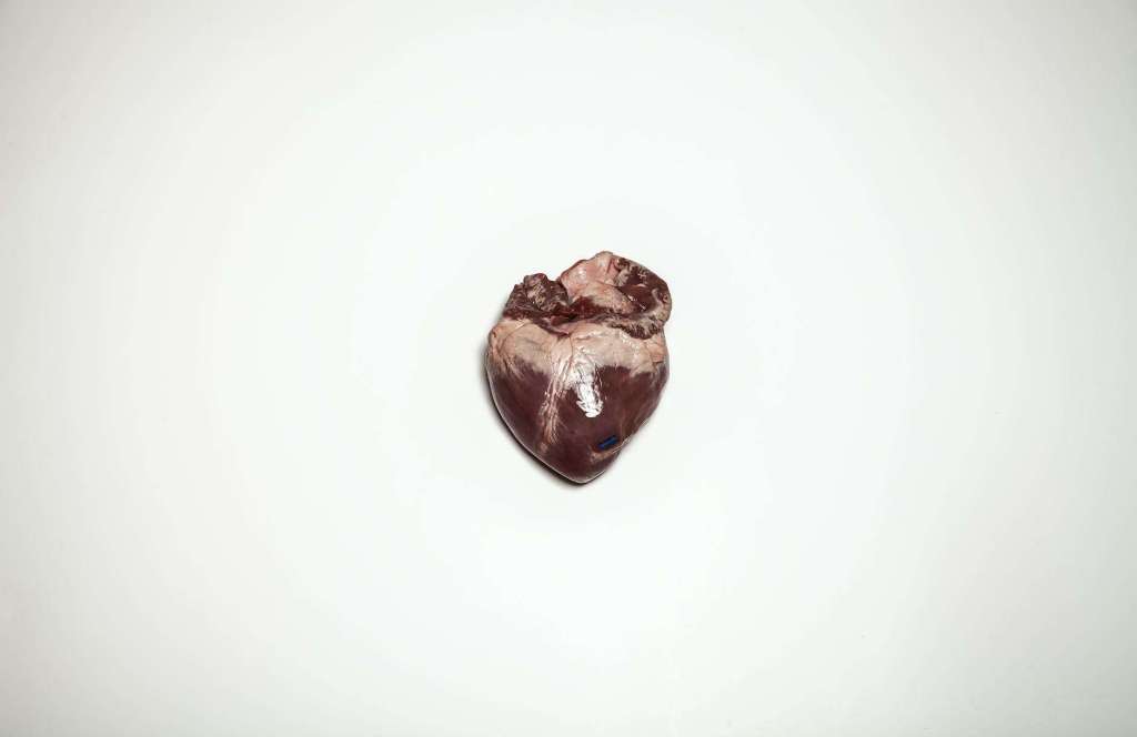 a fresh heart on white surface